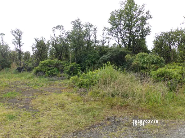 Malia Aina Rd Lot 38, Volcano, HI 96785