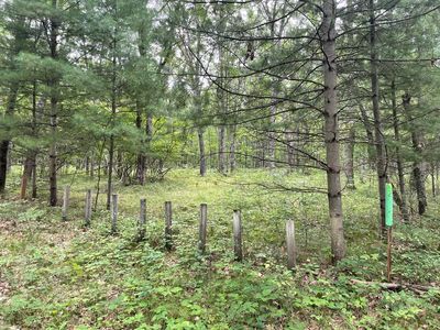 V/l W Jefferies St, Irons, MI, 49644