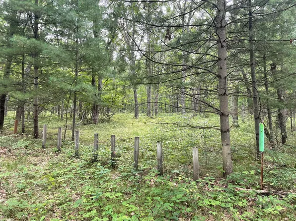 V/l W Jefferies St, Irons, MI 49644