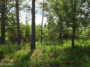 Randletown Rd, Lexington, MS 39095