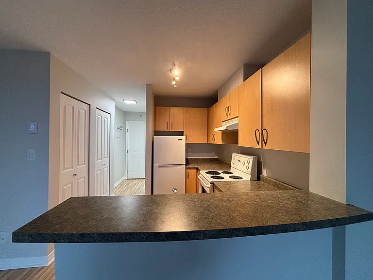 3520 Crowley Dr #XX — Photo 5