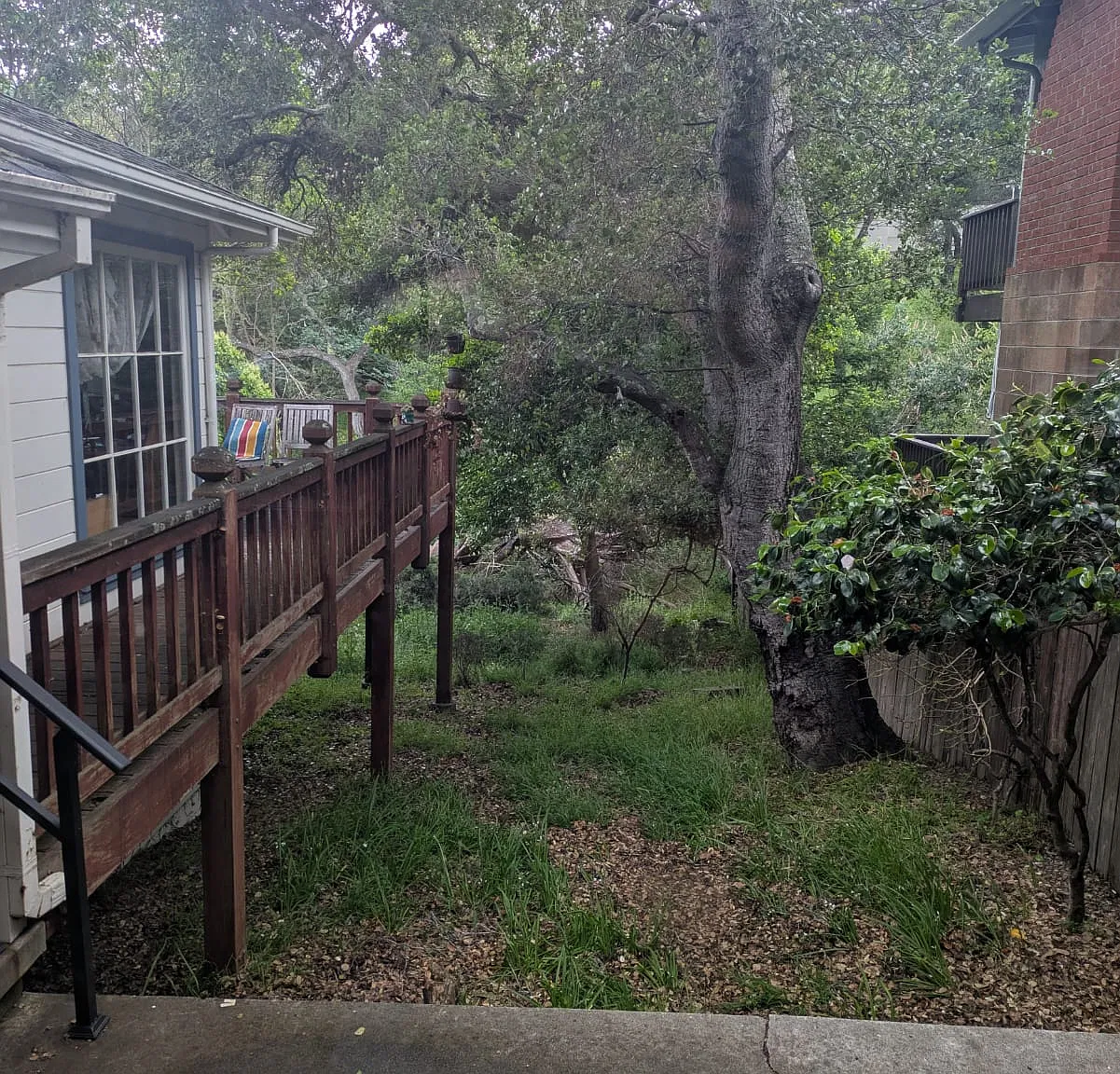 2 bed, 1.5 bath, 1310 sqft, $5,000 — Photo 3