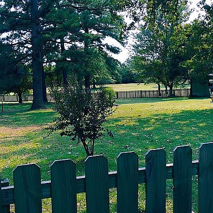 Side yard