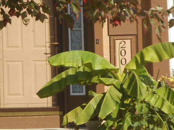 4th image of 200 NE Hidden Meadow Ln
