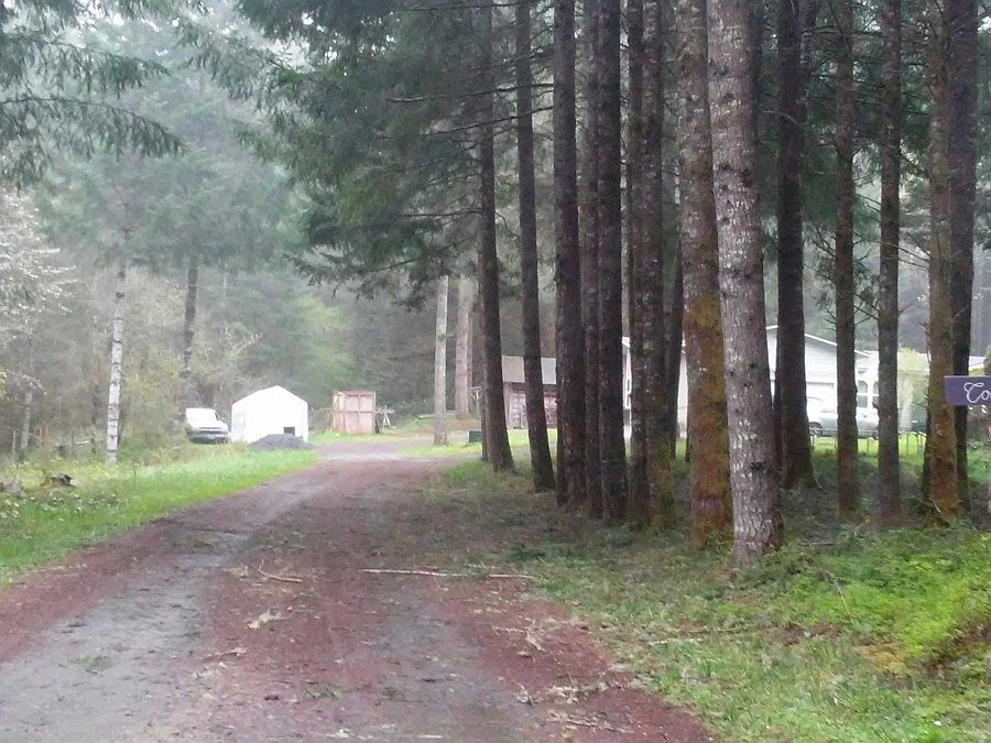 2nd image of 78388 Halderman Rd