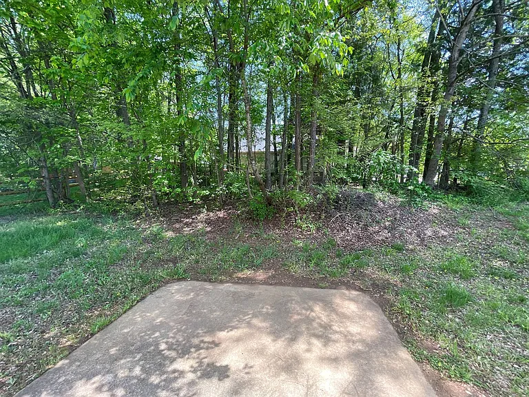 1100 Franklin Thomas Pl — Photo 12