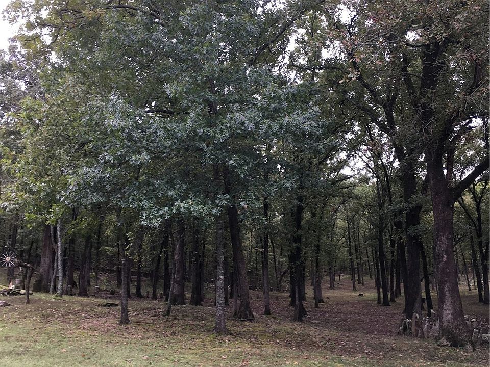 2nd image of 61 Sallisaw Hc Rd