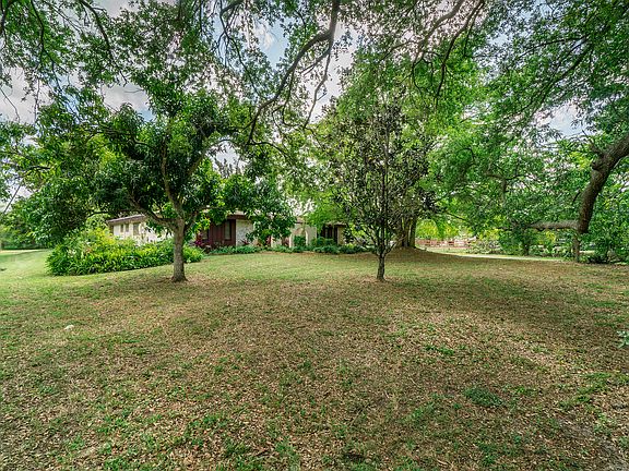 Joy Triglia 954-647-9073 