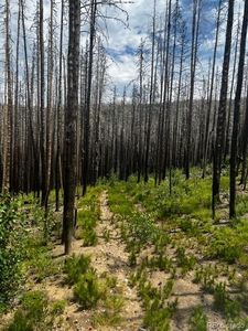 0 Old Ballard Logging Road, Loveland, CO, 80537