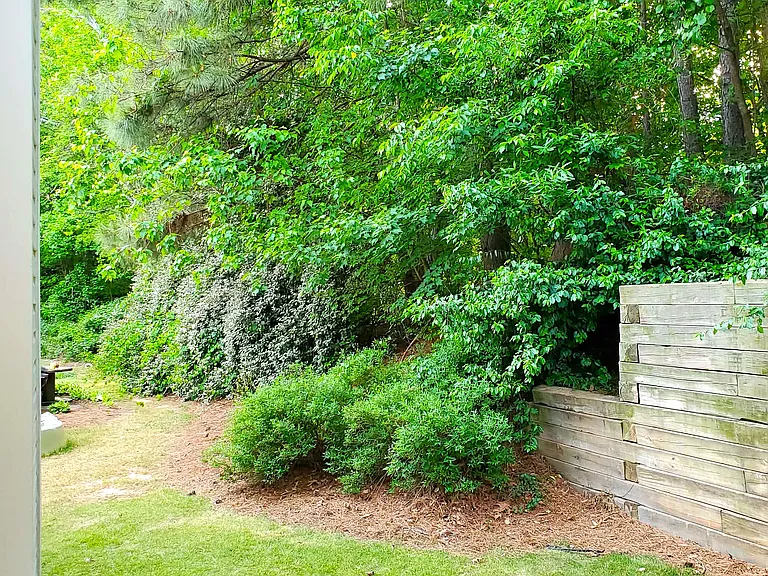 300 Cottonwood Creek Cir — Photo 36