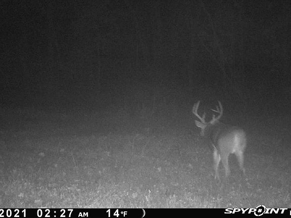 4th image of 0 McNabb Creek Rd