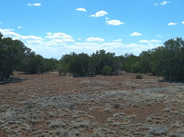 5 County Road 8077, Concho, AZ 85924