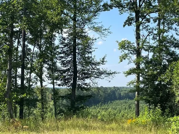 140 Fire Tower Rd, Plain Dealing, LA 71064