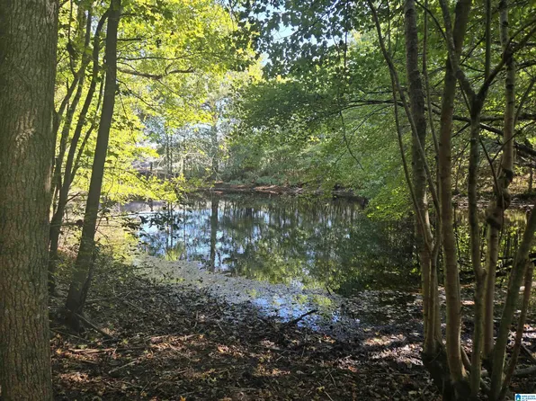 1135 Reneau Rd, Oneonta, AL 35121