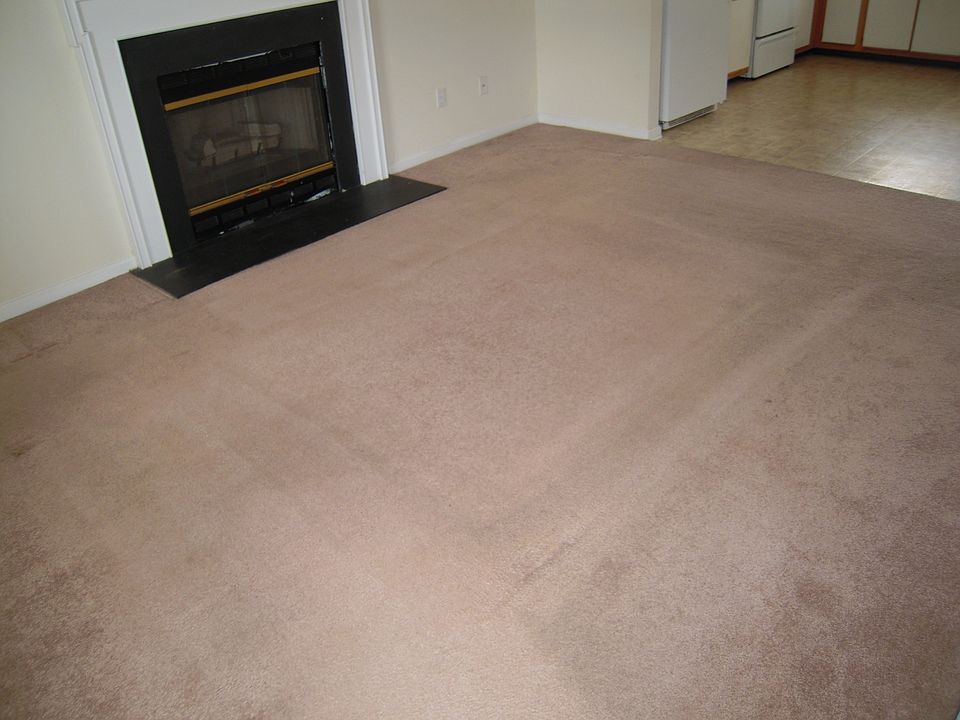 2nd image of 2603 A Boone Ct