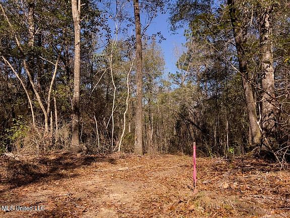 4th image of 24 Nelson Rd