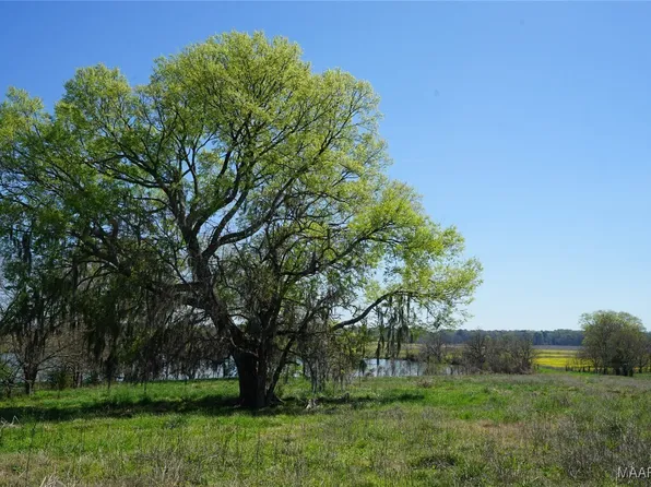 9445 Woodley Rd, Ramer, AL 36069