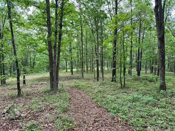 895 Ashwood Rd, Clinton, AR 72031