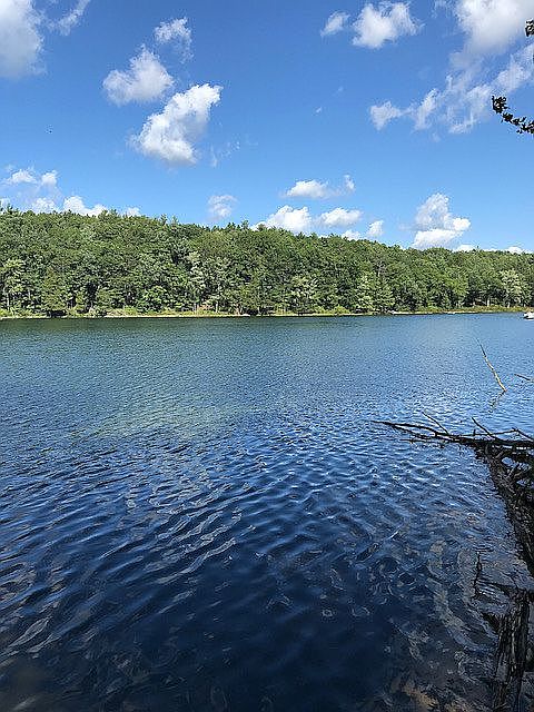 View from the shore of #4.