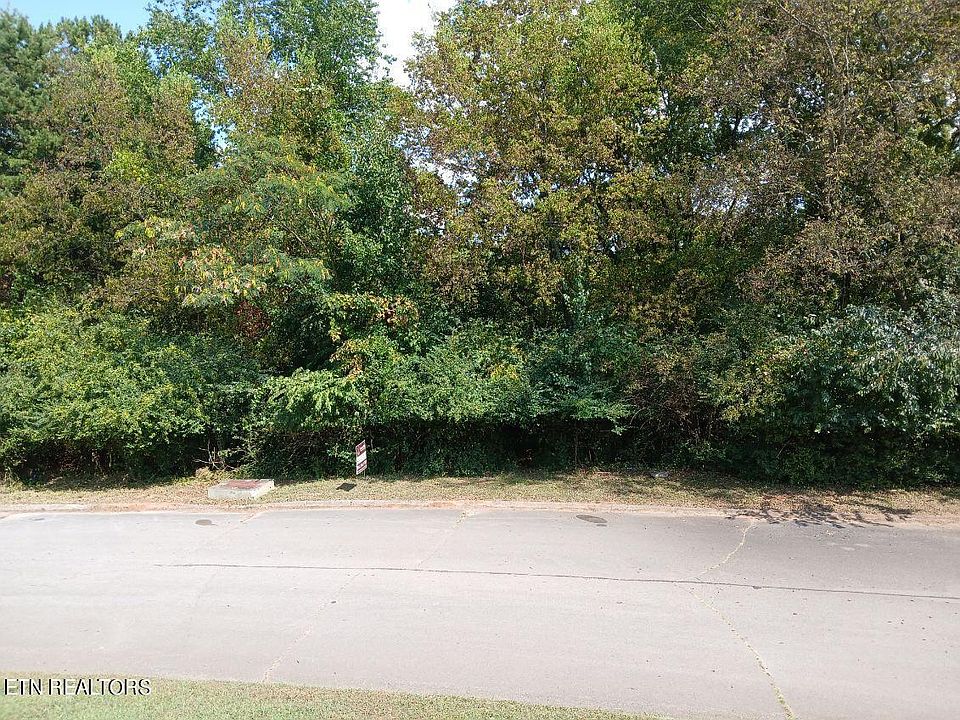 2nd image of 161 Trail View Dr
