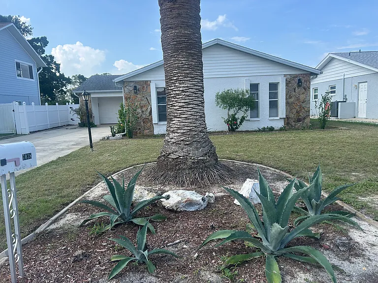 Lots of easy care greenery all around house.