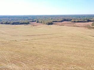 111 Hudsonville Rd, Holly Springs, MS 38635