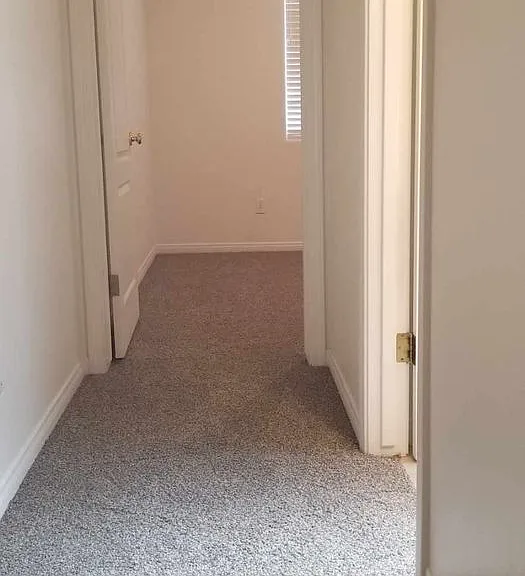 805 Sunset Meadow Ln — Photo 3