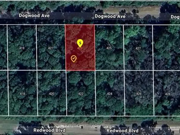 423 DOGWOOD AVENUE LOT 9, GEORGETOWN, FL 32139