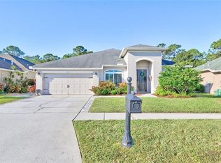 12838 Tar Flower Dr, Tampa, FL 33626