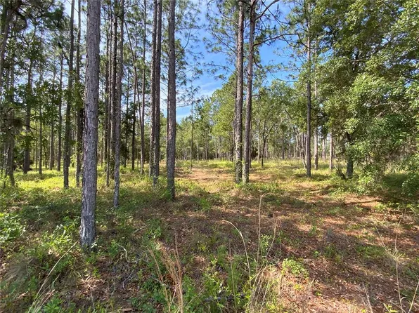 SE 78th St Lot 4, Morriston, FL 32668