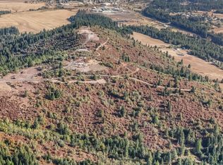 Nka Treetop Ln PARCEL 2, Plummer, ID 83851