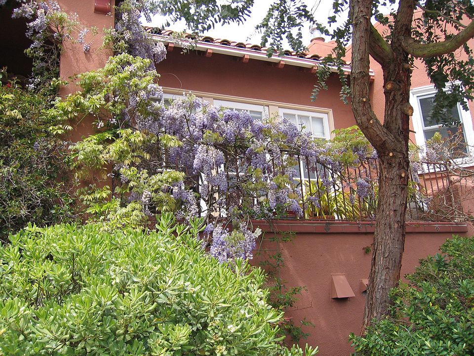 Front Terrace