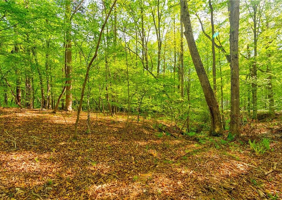1st image of 4033 Hidden Hollow Dr
