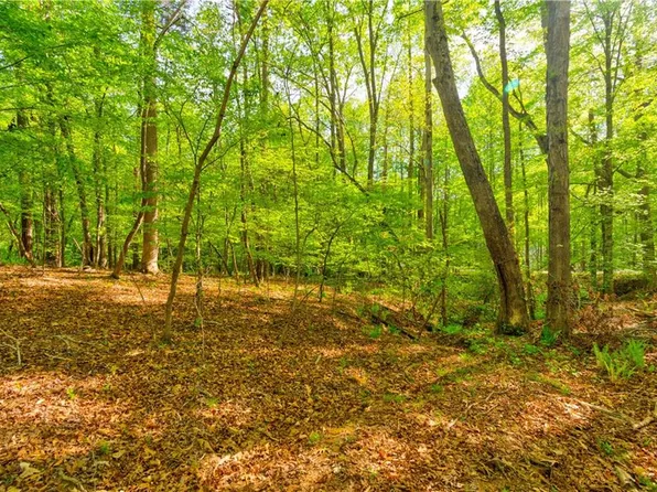 4033 Hidden Hollow Dr, Gainesville, GA 30506