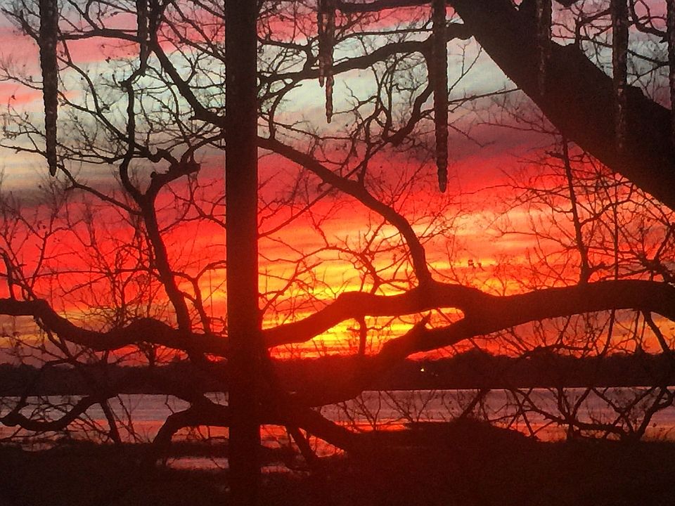 Porch view over Ashley River