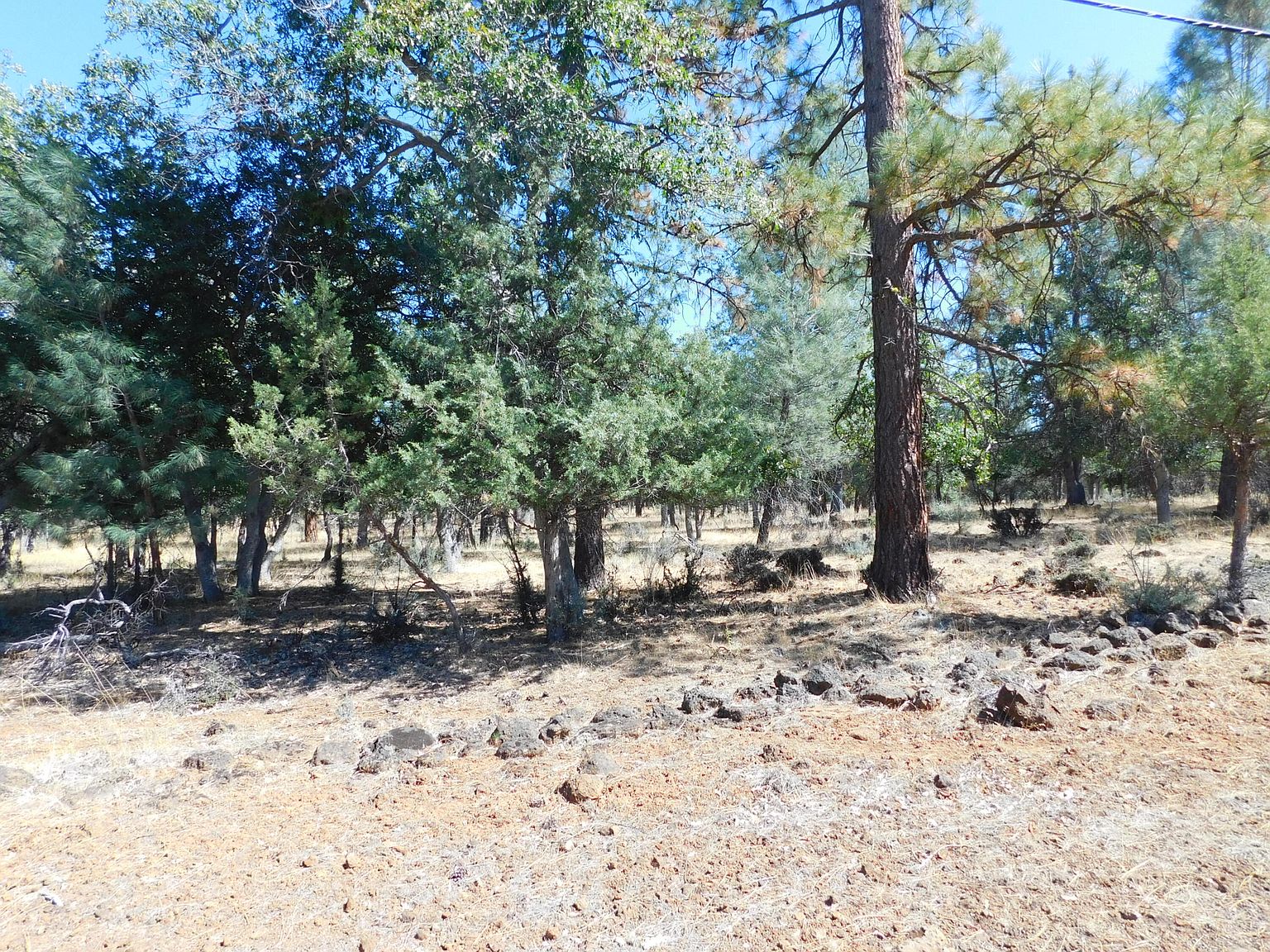 0 Cassel Rd, Cassel, CA 96016 MLS 233846 Zillow