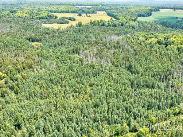 40A County Road 577, Daggett, MI 49821