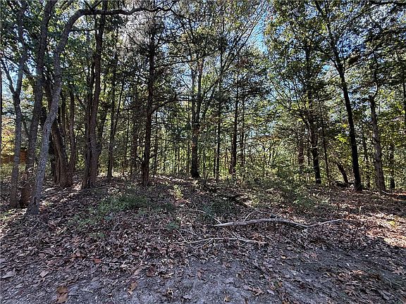 3rd image of TRACT Silver Ridge Rd #B