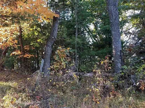 3rd image of L15 Deerborn Ave