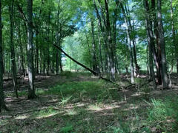 0 Cornell Rd, Okemos, MI 48864