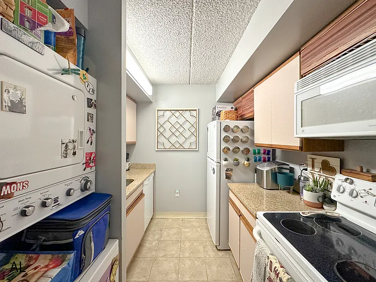 530 S 2nd St #534 — Photo 5