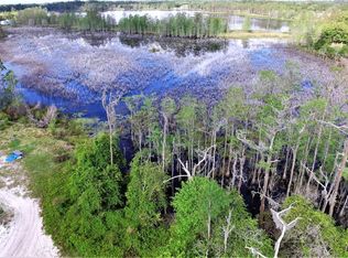 468 Black Lake Rd, Osteen, FL 32764