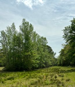 13 County Road 242, Oakwood, TX, 75855