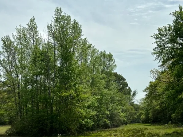 13 County Road 242, Oakwood, TX 75855