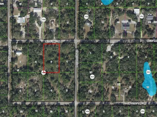 12098 W Fig Tree Ln, Crystal River, FL 34428