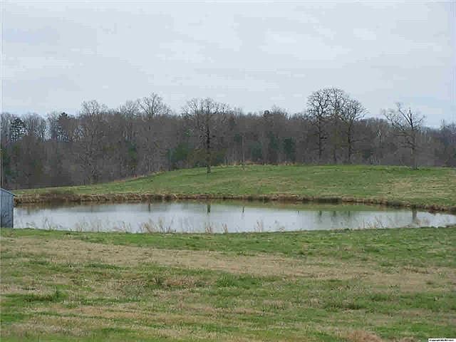 1st image of 311 County Road 250