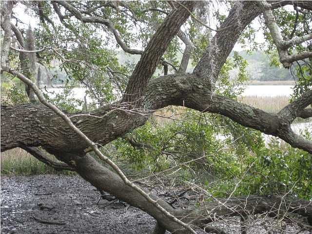 1st image of 3-lot 3 Scanawah Trail