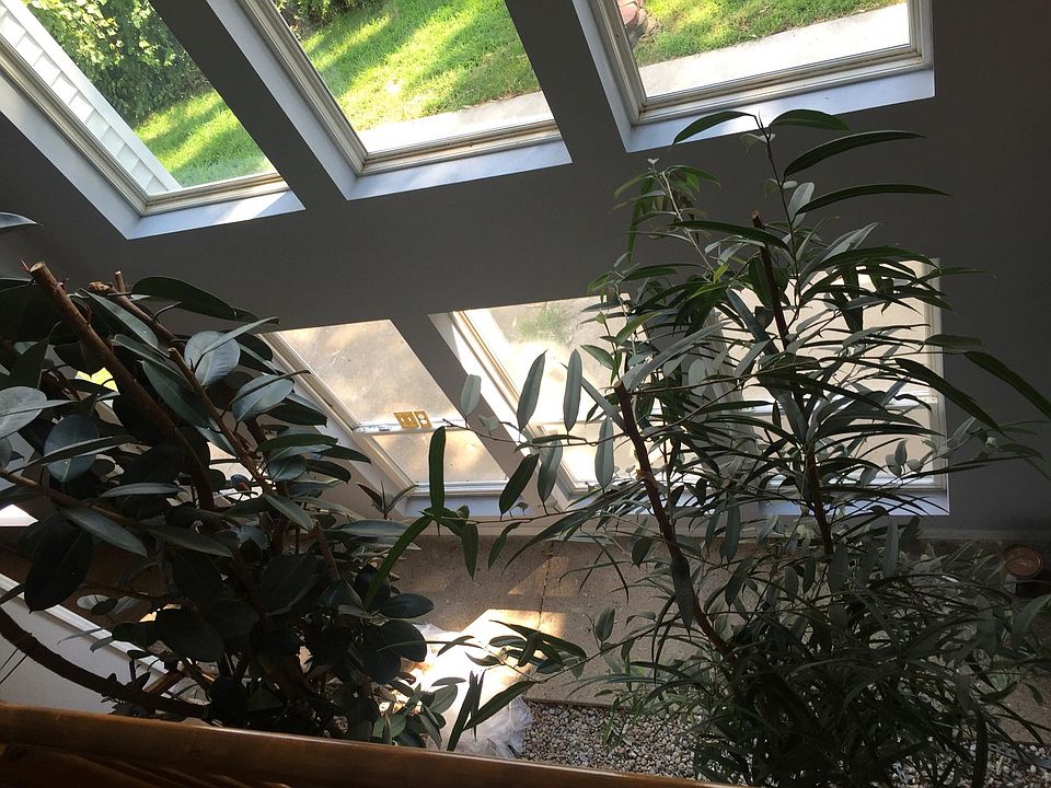 Atrium 