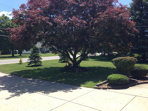 Front Yard