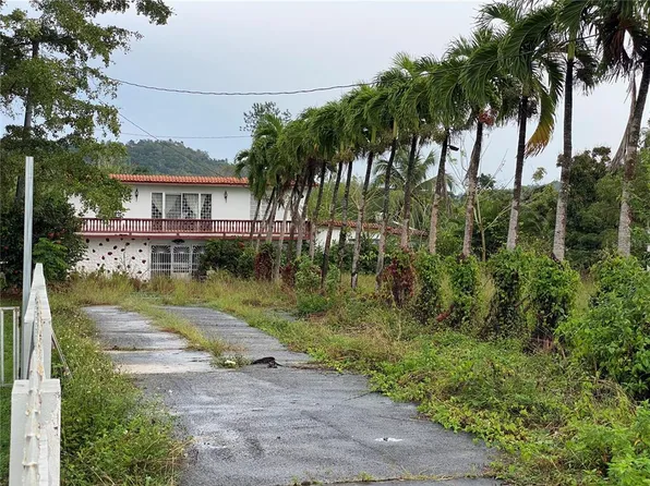 State Route 125 Km #14.5, San Sebastian, PR 00685